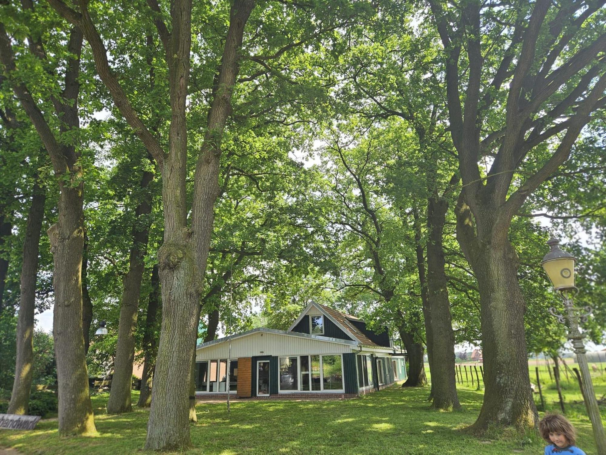 Ferienhaus Banana Lodge Bruchhausen-Vilsen Extérieur photo