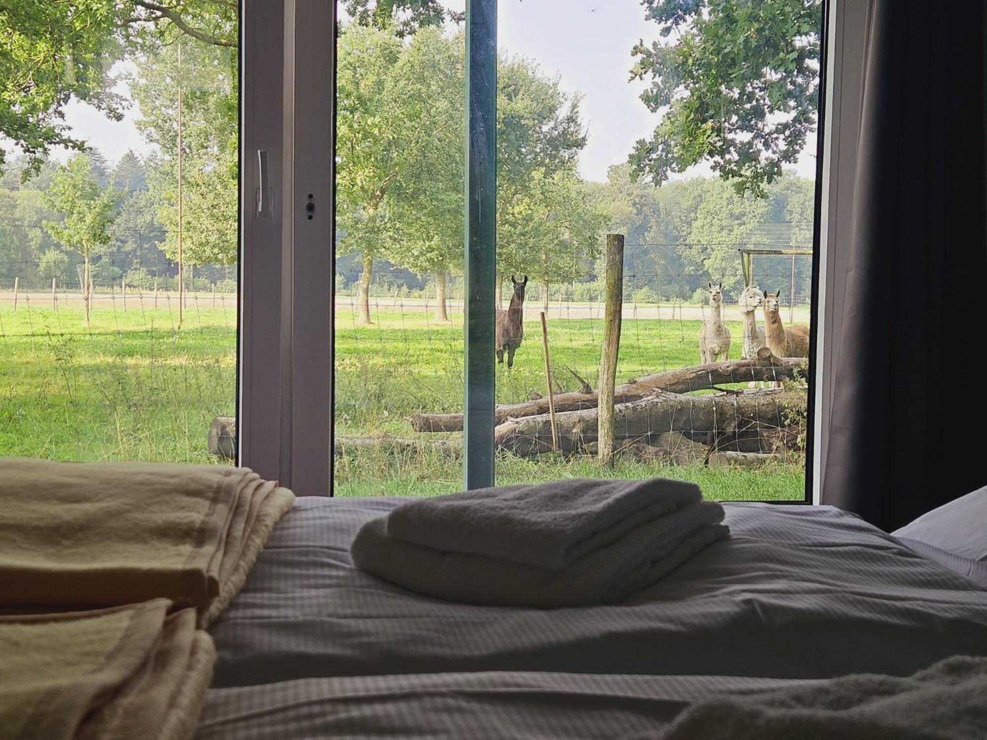 Ferienhaus Banana Lodge Bruchhausen-Vilsen Extérieur photo